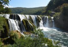 Building Projects and Social Ecology in the Roman World