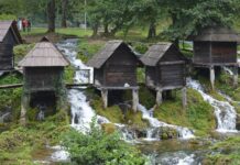 A Tragic Scene of Violence and Fear