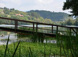 The Armenians and Their Struggles in Constantinople