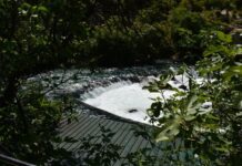 A Misunderstanding About the Monastery